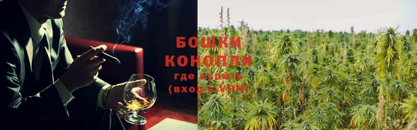 гашик Пересвет