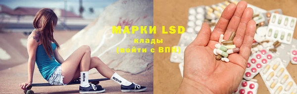 шишки Переславль-Залесский