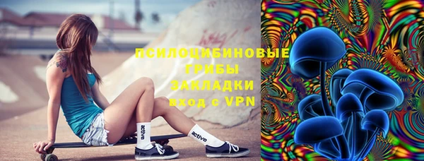 шишки Переславль-Залесский