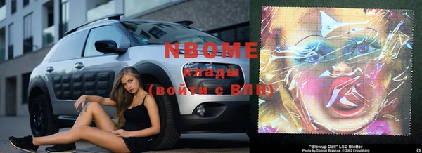 шишки Переславль-Залесский